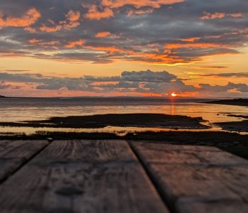 484481544_10160537383916423_1658096046597427861_n